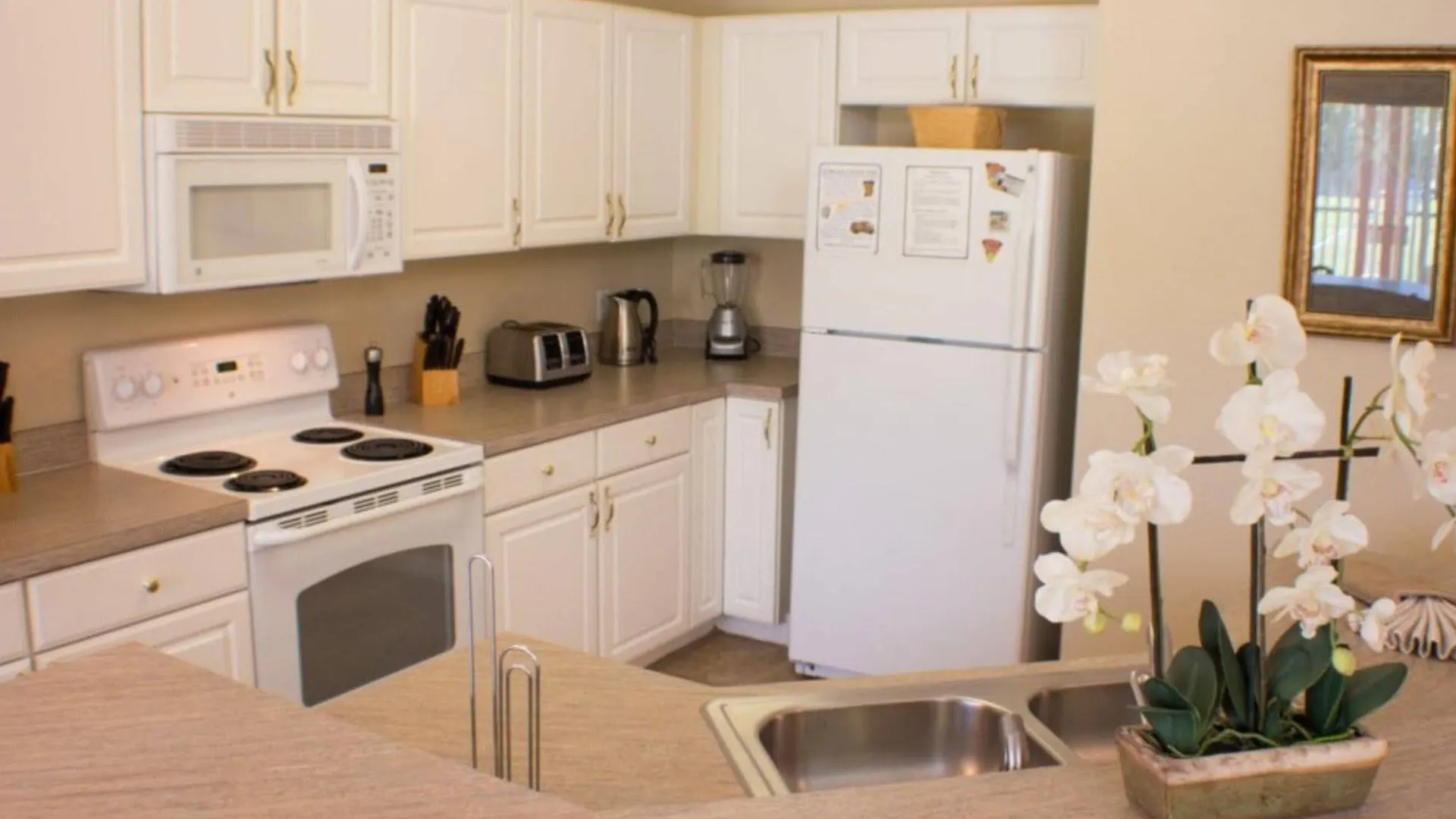 Hibiscus Haven Villa Four Corners